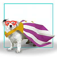Capa Superperro