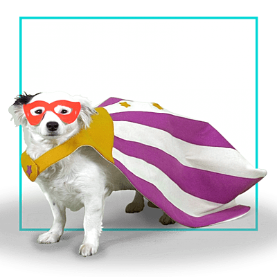 Capa Superperro