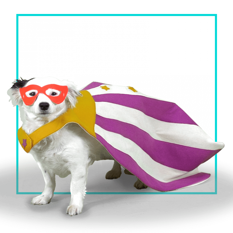 Capa Superperro